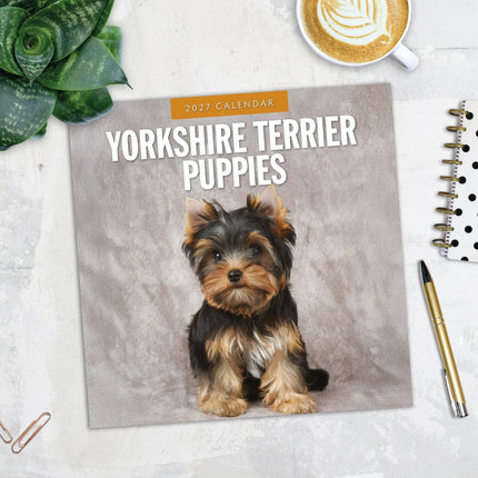 Red Robin Yorkshire Terrier Puppies Kalender 2027