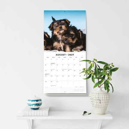 Red Robin Yorkshire Terrier Puppies Kalender 2027