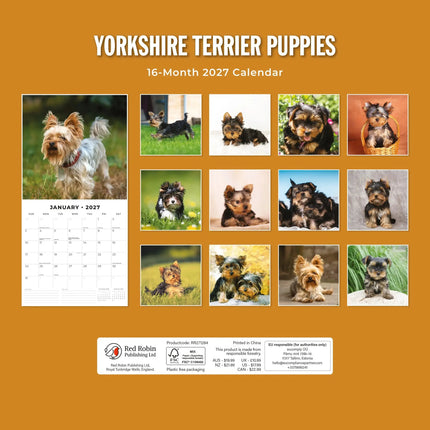 Red Robin Yorkshire Terrier Puppies Kalender 2027