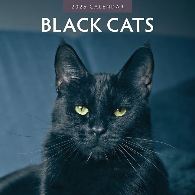Red Robin Zwarte Katten Kalender 2026