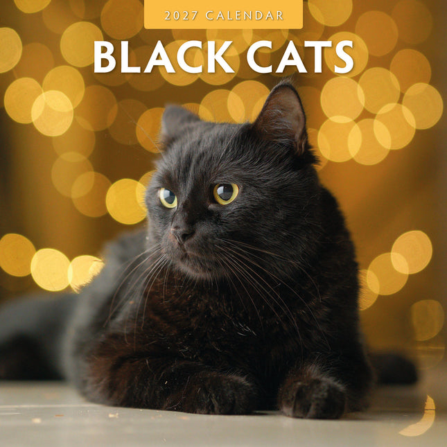 Red Robin Zwarte Katten Kalender 2027