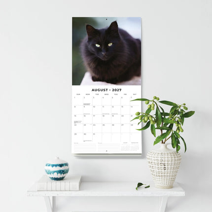 Red Robin Zwarte Katten Kalender 2027