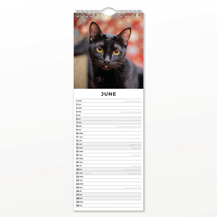Red Robin Zwarte Katten Slimline Kalender 2026