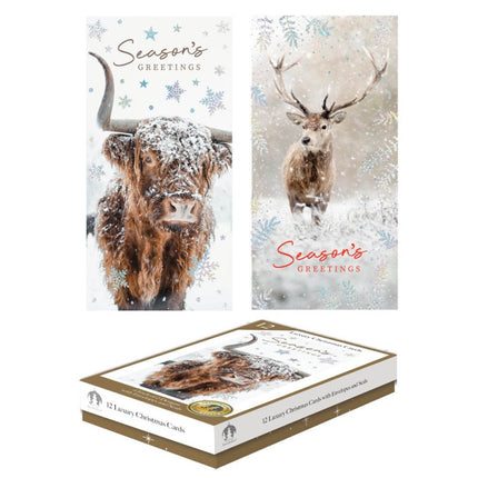 Tallon 12 Luxe Kerstkaarten Smal Schotse Hooglander/Hert