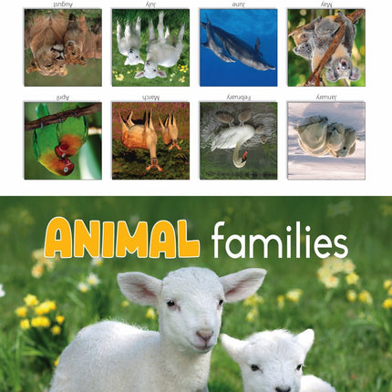 Tallon Animal Families, Cute & Fluffy Kalender 2027