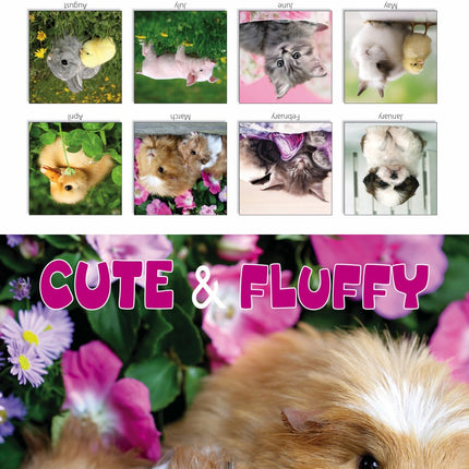 Tallon Animal Families, Cute & Fluffy Kalender 2027