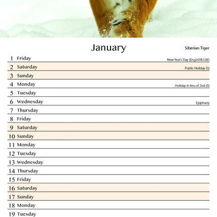 Tallon Animals Kalender 2027 Slimline