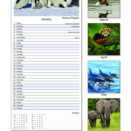 Tallon Animals Kalender 2027 Slimline