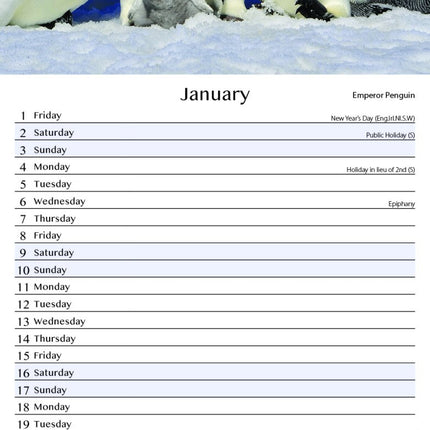 Tallon Animals Kalender 2027 Slimline