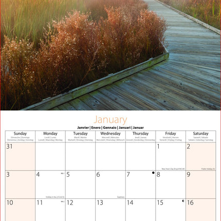 Tallon Beach Hut, Light House & Windmill Kalender 2027