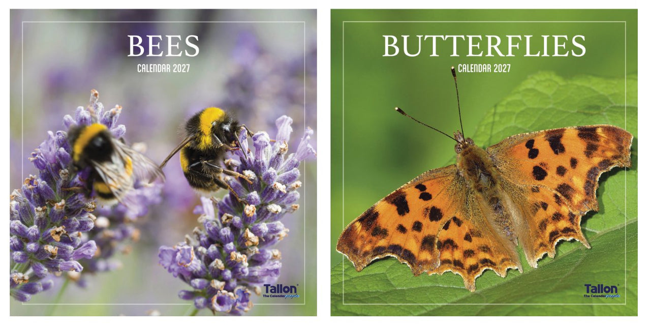 Tallon Bees and Butterflies Kalender 2027