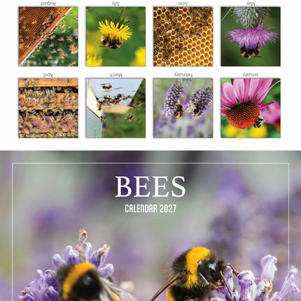 Tallon Bees and Butterflies Kalender 2027