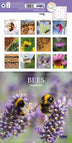 Bees