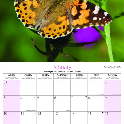 Tallon Bees and Butterflies Kalender 2027