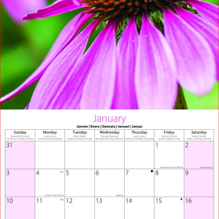 Tallon Bees and Butterflies Kalender 2027