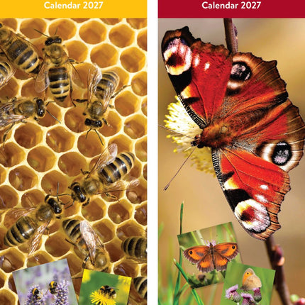 Tallon Bees & Butterflies Kalender 2027 Slimline