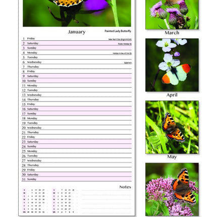 Tallon Bees & Butterflies Kalender 2027 Slimline