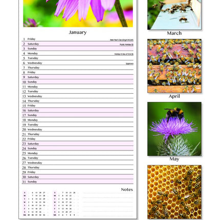 Tallon Bees & Butterflies Kalender 2027 Slimline