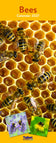 Bees