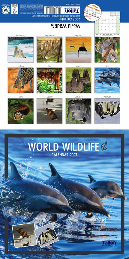 Tallon Big Cats, Animals & W Wildlife Kalender 2027