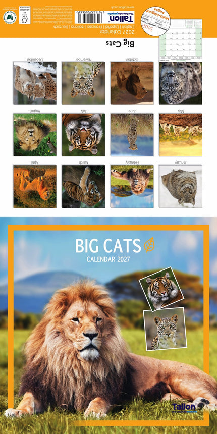 Tallon Big Cats, Animals & W Wildlife Kalender 2027