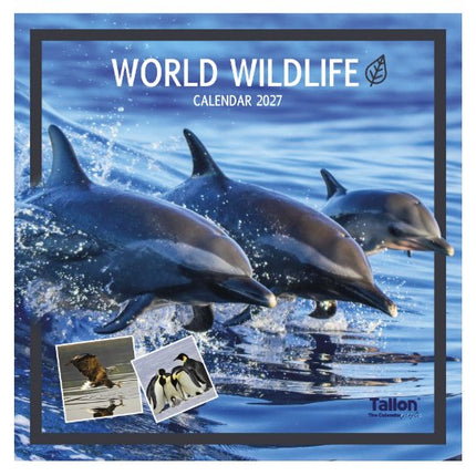 Tallon Big Cats, Animals & W Wildlife Kalender 2027