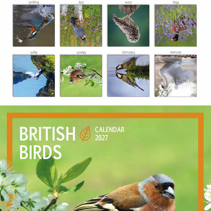 Tallon Birds & Wildlife Kalender 2027
