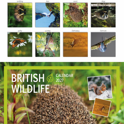 Tallon Birds & Wildlife Kalender 2027