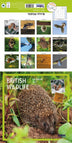 British Wildlife