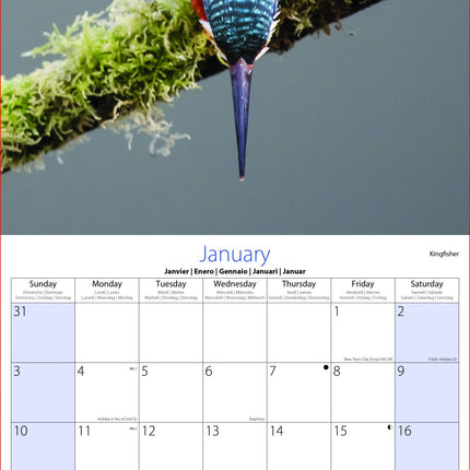 Tallon Birds & Wildlife Kalender 2027