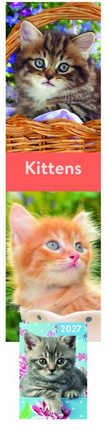 Tallon Cats, Dogs, Kittens, Puppies Kalender en Agenda 2027