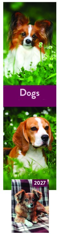 Tallon Cats, Dogs, Kittens, Puppies Kalender en Agenda 2027