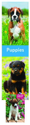 Tallon Cats, Dogs, Kittens, Puppies Kalender en Agenda 2027