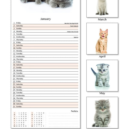 Tallon Cats & Kittens Kalender 2027 Slimline