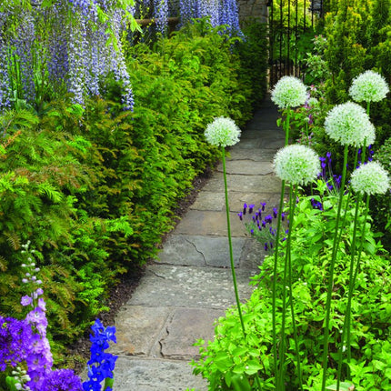 Tallon Cottages & Gardens Kalender 2027 Slimline