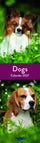 Dogs