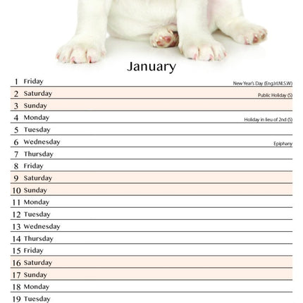 Tallon Dogs and Puppies Kalender 2027 Slimline