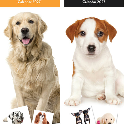 Tallon Dogs and Puppies Kalender 2027 Slimline