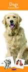 Dogs
