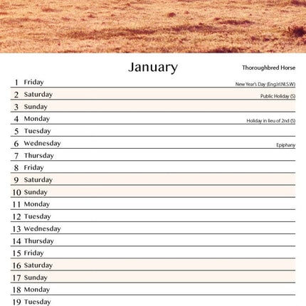 Tallon Donkey, Foal, Horse, Pony Kalender 2027 Slimline