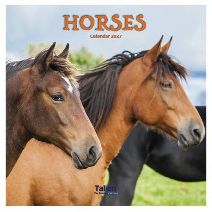 Tallon Donkeys, Horses & Foals Kalender 2027