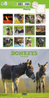 Donkeys