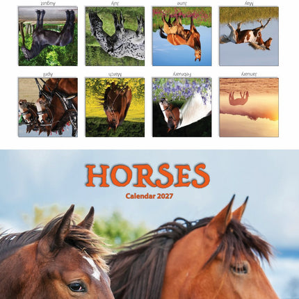 Tallon Donkeys, Horses & Foals Kalender 2027