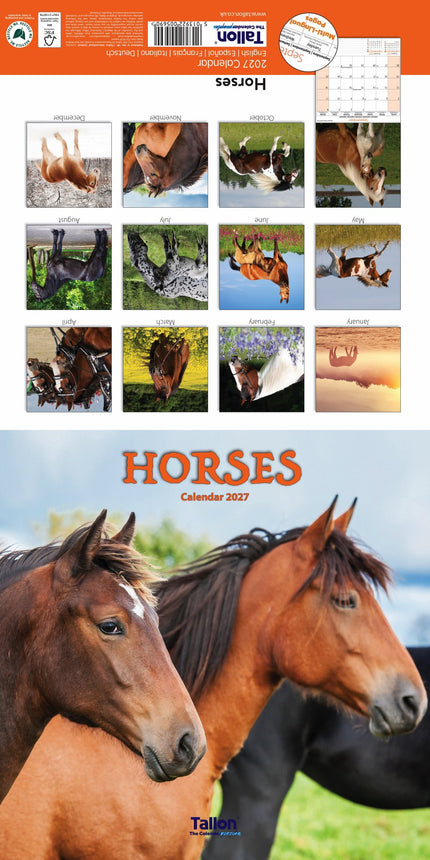 Tallon Donkeys, Horses & Foals Kalender 2027
