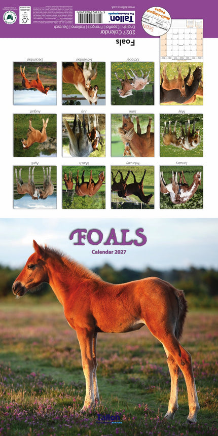 Tallon Donkeys, Horses & Foals Kalender 2027