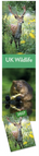 Wildlife