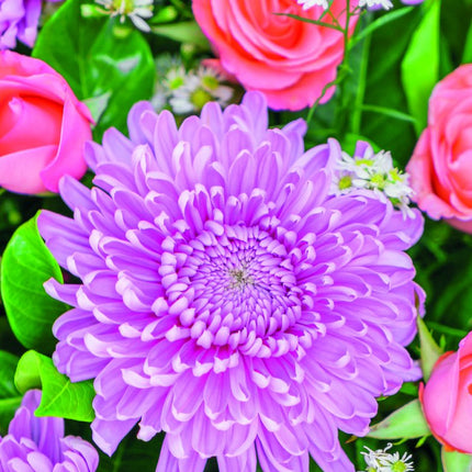 Tallon Flowers & Roses Kalender 2027 Slimline