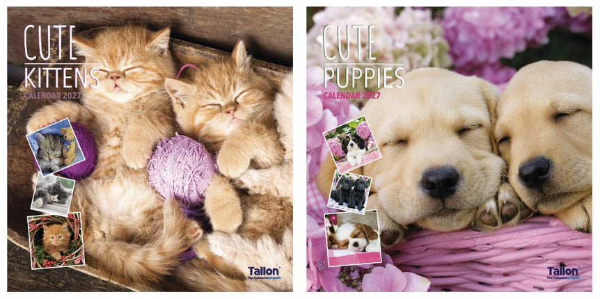 Tallon Kittens and Puppies Kalender 2027