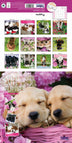 Cute Puppies