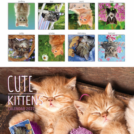 Tallon Kittens and Puppies Kalender 2027